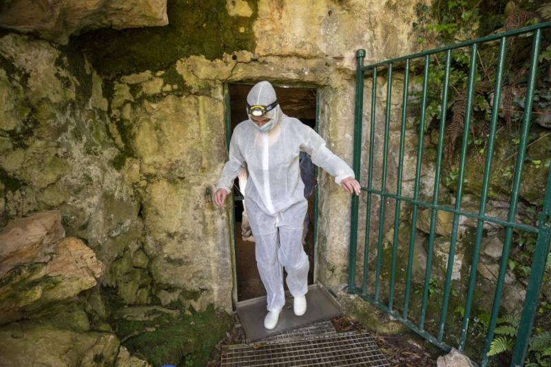 Imagen de Guía turístico cueva Altamira